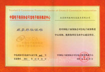 2011年年度 中国电子商务协会网络知识产权推进中心成员单位